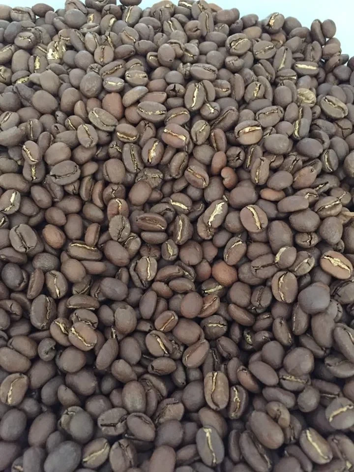 Beans.jpg