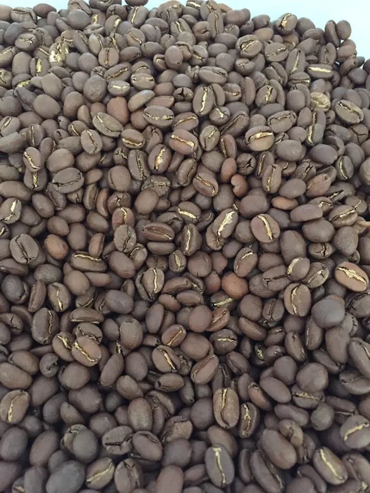 beans